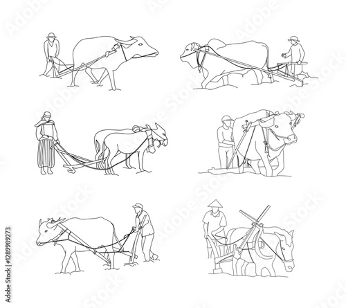 Line art illustration of traditional Asian farmers plowing fields with cows collection