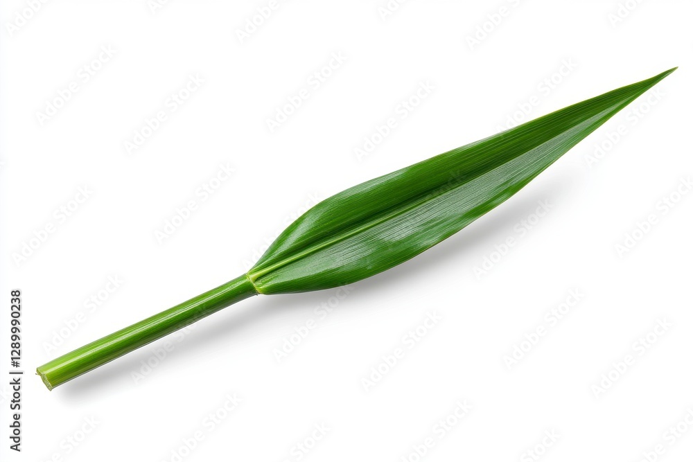 Explore the intricate details of a single, vibrant green leaf captured in a stunning, high-resolution image against a clean, white background, perfect for botanical studies, nature-themed designs, or Explore the intricate details of a single, vibrant green leaf captured in a stunning, high-resolution image against a clean, white background, perfect for botanical studies, nature-themed designs, or