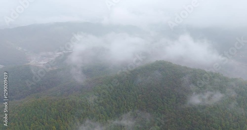 fog in the mountains