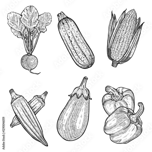Hand-Drawn Vegetable Set – Vintage Style Line Art Collection