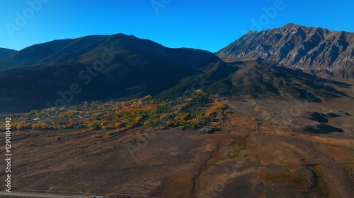 Lake Crowley town Mammoth Lakes Mountain California aerial drone fall autumn yellow Aspen Trees forest morning blue sky Bishop Toms Place Mount Morrison Morgan Sherwin Range Sierra forward pan up photo