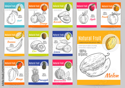 Exotic natural fruits poster with titles. Vector pencil sketch icons of pear, orange, avocado, apple, peach, banana, kiwi, lemon, mango pineapple watermelon melon