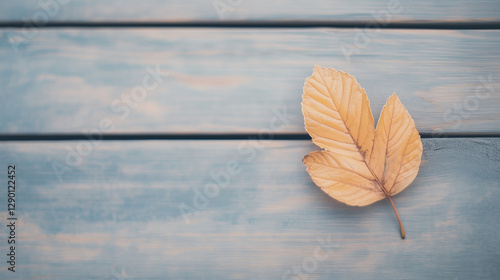 Golden Leaf on Weathered Pl...