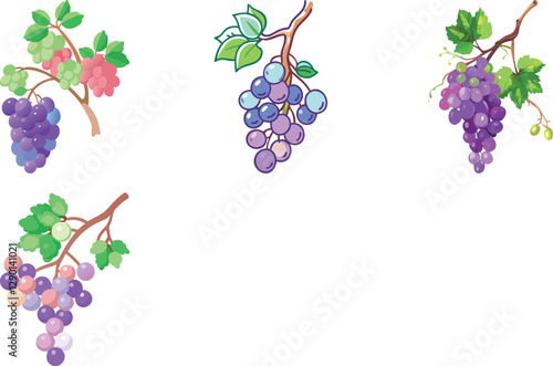 Grapes on tree watercolor vector art design on white background