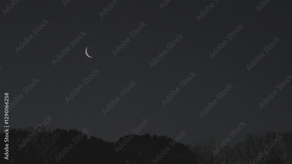 Tokyo, Japan - February 25, 2025: A moon shining between branches at winter dawn Tokyo, Japan - February 25, 2025: A moon shining between branches at winter dawn