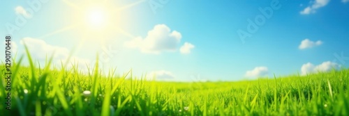 Bright sunlit meadow, soft focus blue sky, lush green grass, day, lovely