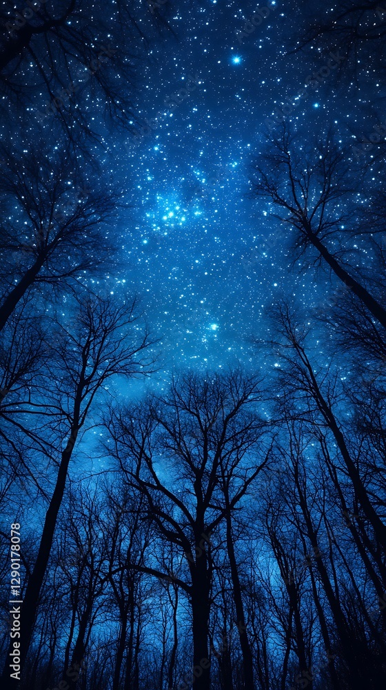 Starry Night Forest, Nature Wallpaper Starry Night Forest, Nature Wallpaper