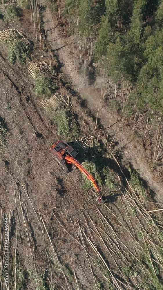 Aerial View Green Forest Deforestation Aerial View Green Forest Deforestation