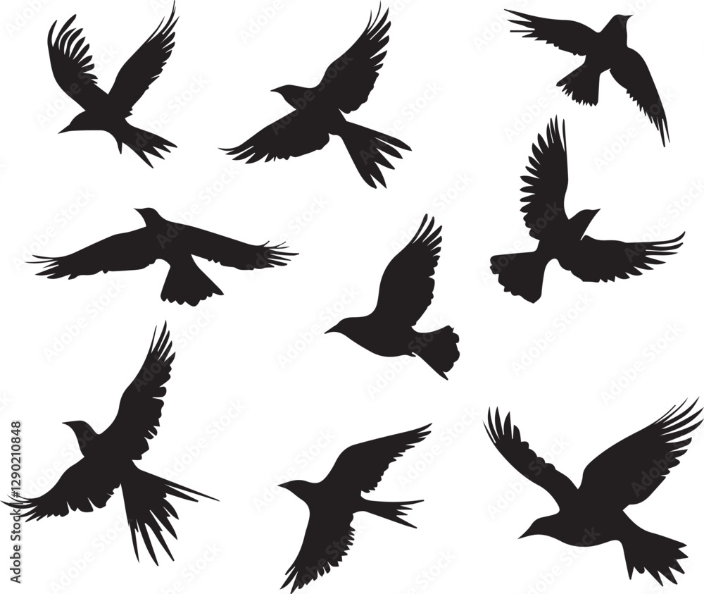 Fototapeta premium Birds Set flying black silhouette