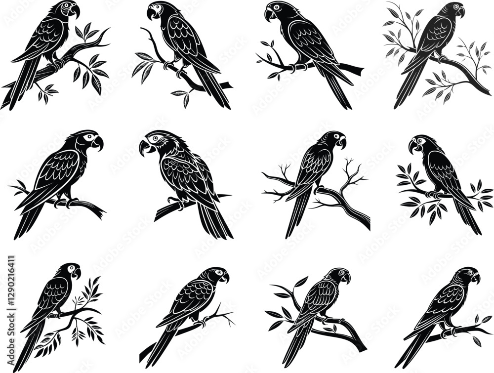 Obraz premium Parrot Silhouette, Vector Design, Parrot Icon