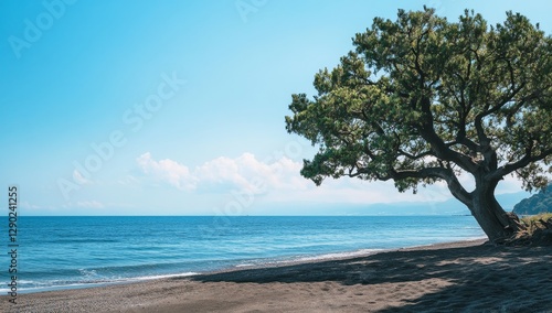 Peaceful beach scene, lone tree, calm ocean, sunny day