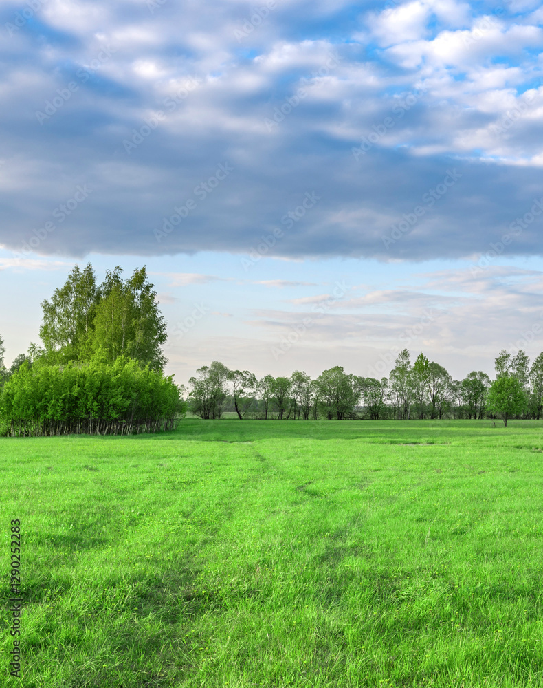 Obraz premium Field of grass with a few trees in the background