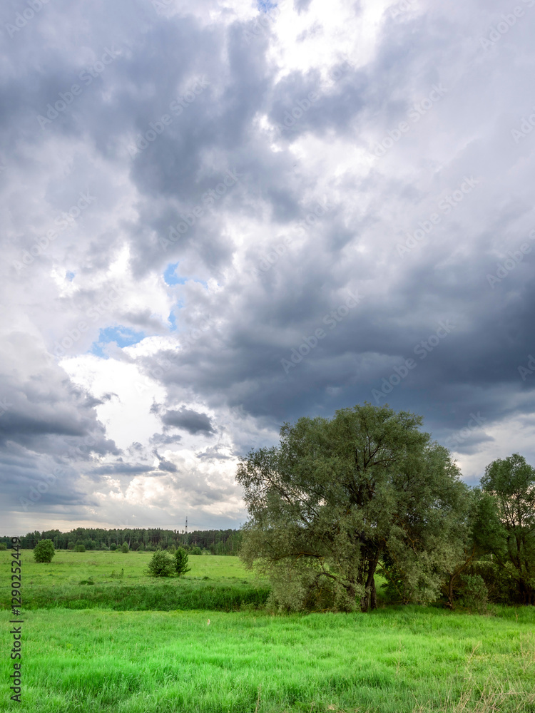 Cloudy sky with a tree in the middle of a field Cloudy sky with a tree in the middle of a field