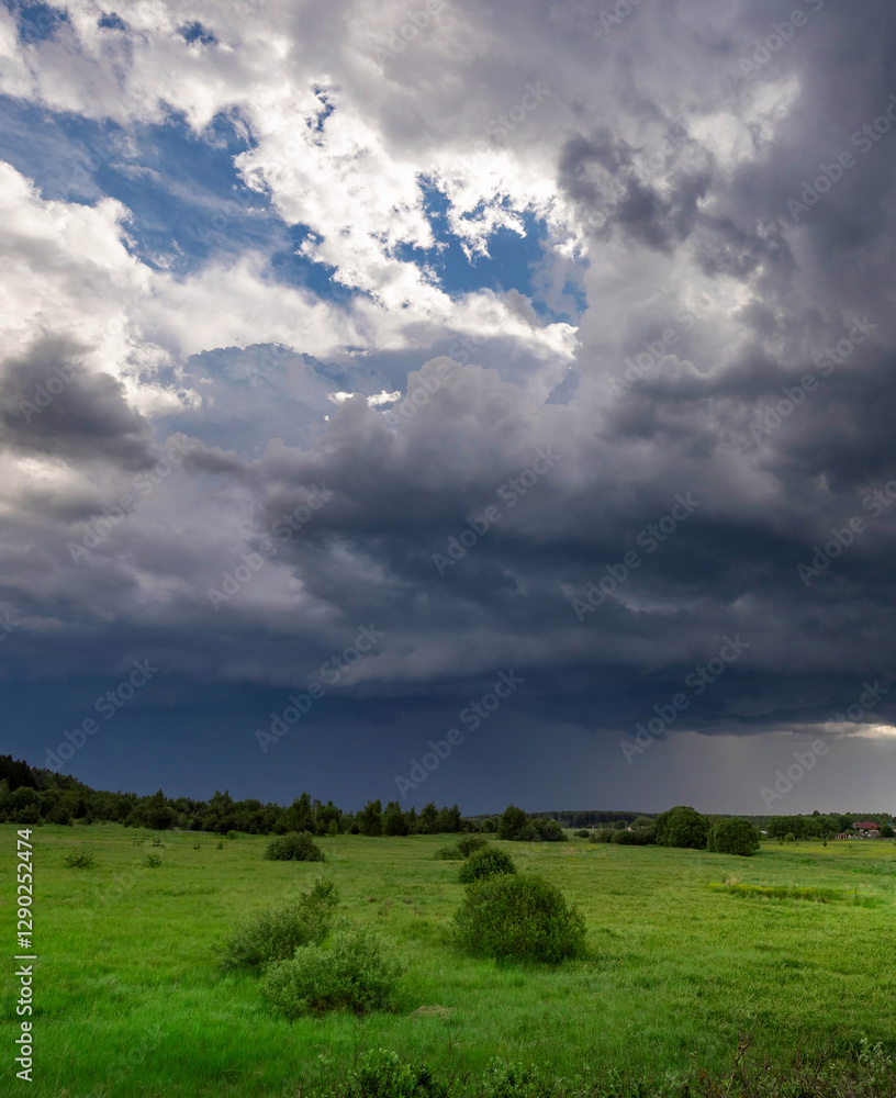 Field of grass with a storm cloud in the sky Field of grass with a storm cloud in the sky