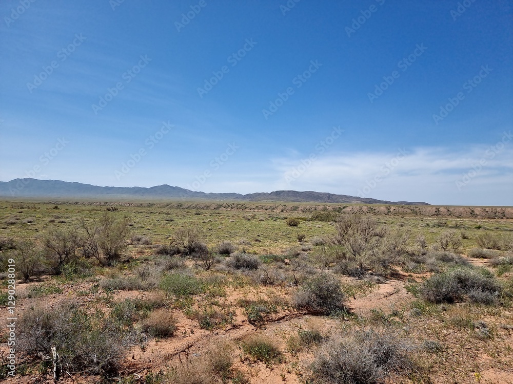 wonderful landscape with mountains and desert in the background
wonderful landscape with mountains and desert in the background