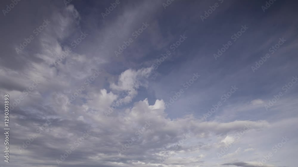 Floating Cumulus Clouds Under a Vibrant Blue Sky Floating Cumulus Clouds Under a Vibrant Blue Sky