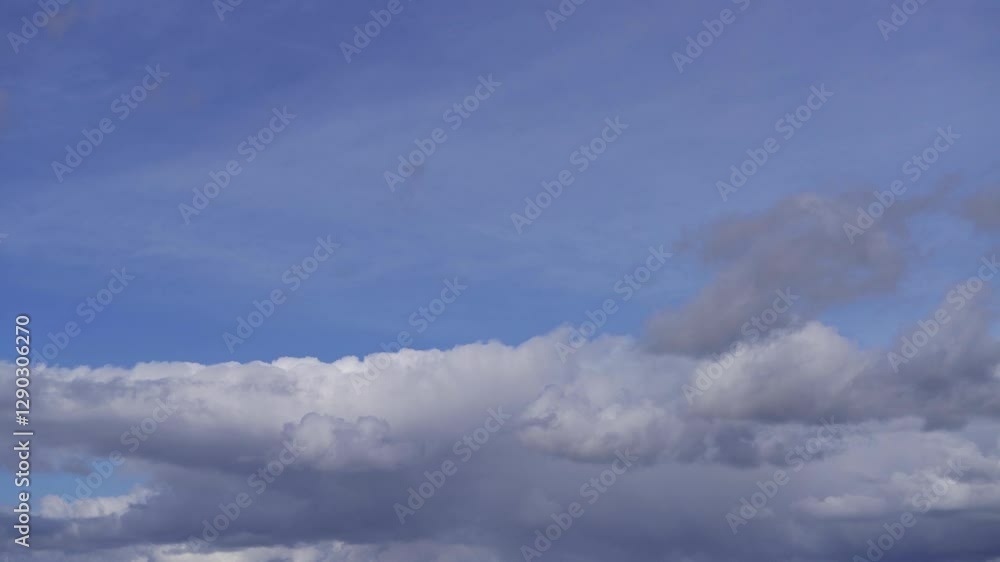 Floating Cumulus Clouds Under a Vibrant Blue Sky Floating Cumulus Clouds Under a Vibrant Blue Sky
