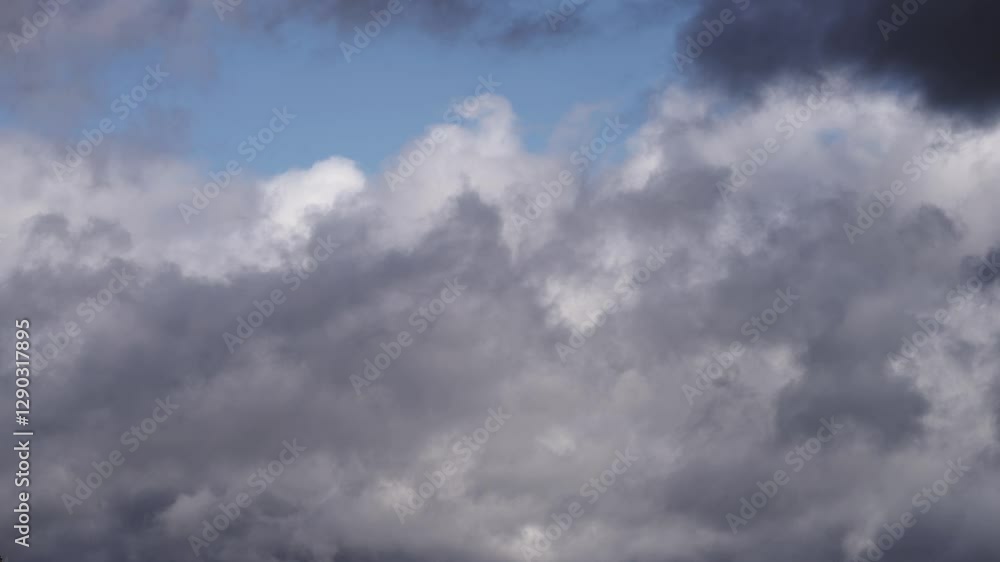 Floating Cumulus Clouds Under a Vibrant Blue Sky Floating Cumulus Clouds Under a Vibrant Blue Sky