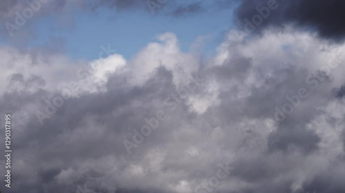 Wallpaper Mural Floating Cumulus Clouds Under a Vibrant Blue Sky Torontodigital.ca