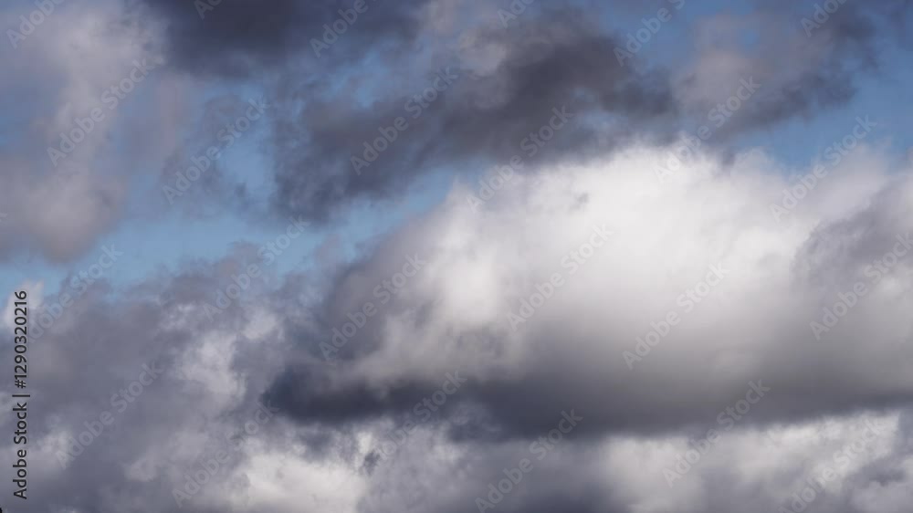 Floating Cumulus Clouds Under a Vibrant Blue Sky Floating Cumulus Clouds Under a Vibrant Blue Sky