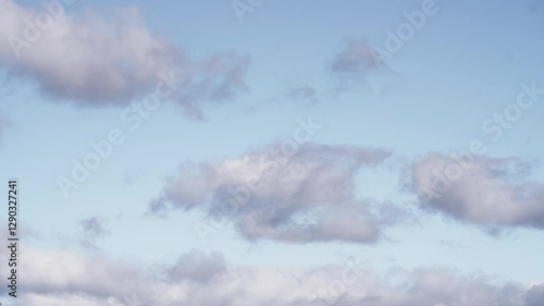 Floating Cumulus Clouds Under a Vibrant Blue Sky