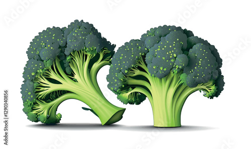 Fresh broccoli isolated on white background. 3d Vector illustration. Fresh vegetable broccoli isolated. Broccoli for farm market, vegetarian salad recipe design. Nutrition vegetable art illustration.