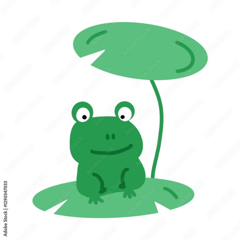 개구리 개구리