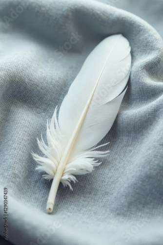 Delicate white feather rests on soft gray linen , linen, aesthetic
