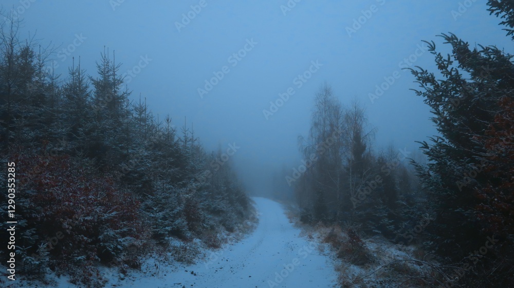 Serene winter landscape with misty bare trees, and a tranquil forest, evoking a sense of mystery and peace, perfect for themes of nature, solitude, and atmospheric beauty Serene winter landscape with misty bare trees, and a tranquil forest, evoking a sense of mystery and peace, perfect for themes of nature, solitude, and atmospheric beauty