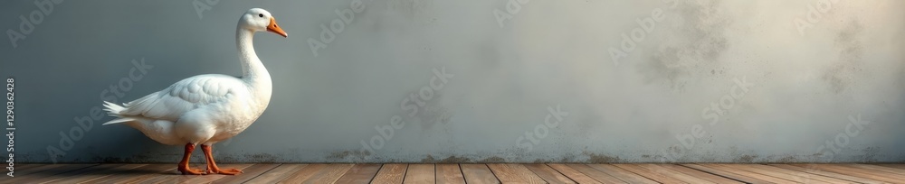 Elegant white goose against a textured wall, standing on wooden planks, backdrop, nature Elegant white goose against a textured wall, standing on wooden planks, backdrop, nature