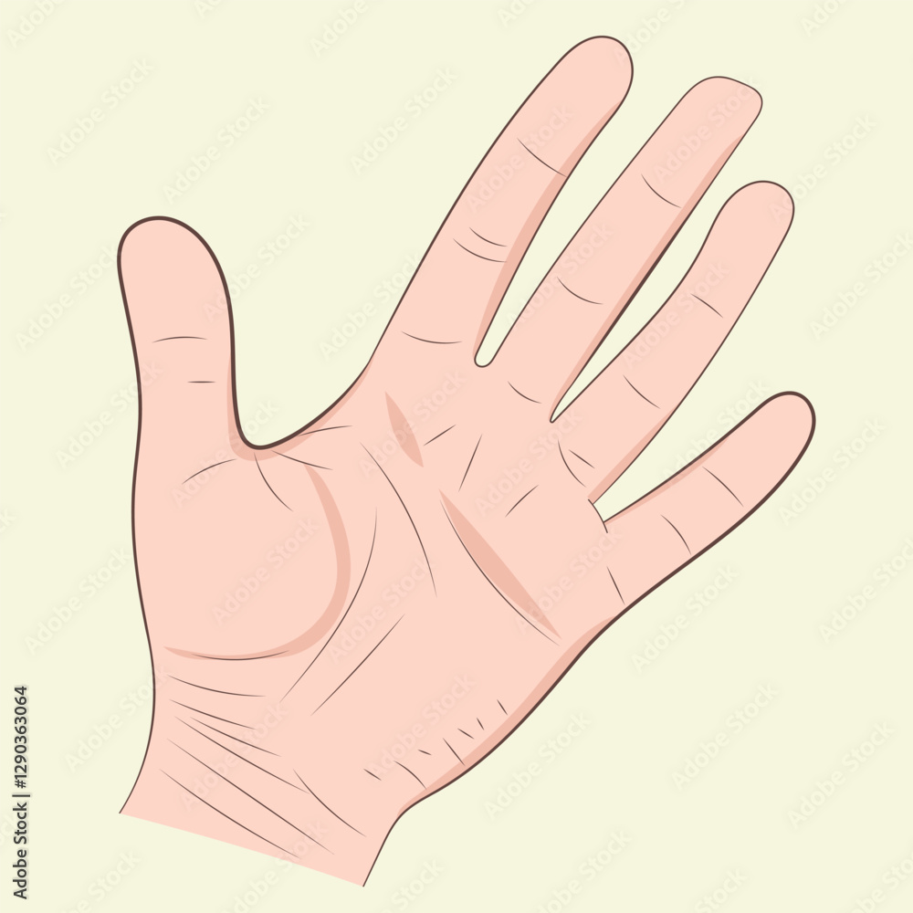 Vector hand drawn illustration of the hand gesture. Five fingers Vector hand drawn illustration of the hand gesture. Five fingers