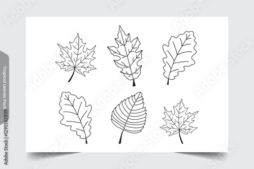 Tropical Leaves Pack