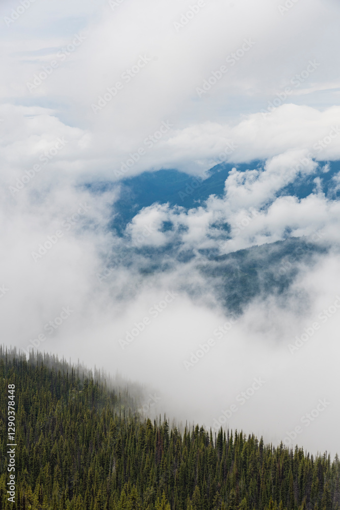 A mysterious and enchanting mountain view enveloped in mist, illustrating the allure and drama of nature's unspoiled wilderness. A mysterious and enchanting mountain view enveloped in mist, illustrating the allure and drama of nature's unspoiled wilderness.