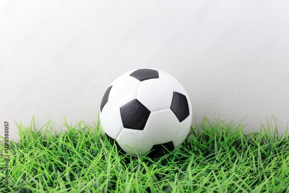 Obraz premium Football on the field