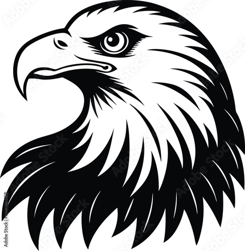 American bald eagle Vactor
