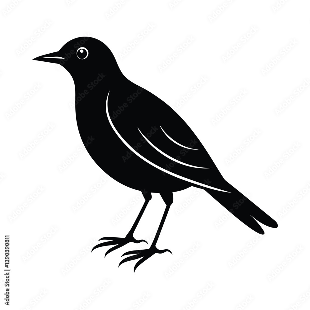 Obraz premium black bird on white background