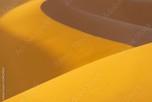 Obraz na płótnie Sand dunes pattern in Merzouga w salonie