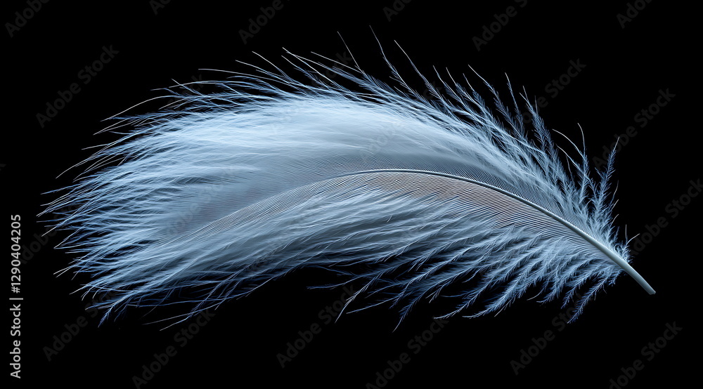 Obraz premium White feather on a white background