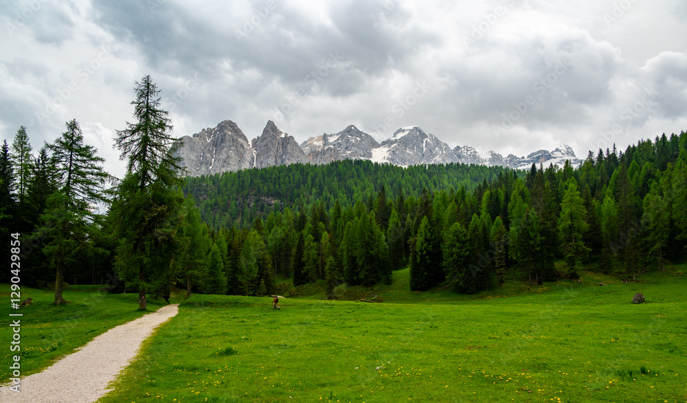 Breathtaking view of forests, mountains, and valleys in the Italian Dolomites (Dolomiti, Dolomiten). Captured from a scenic trail along a rocky ledge. Stunning alpine nature