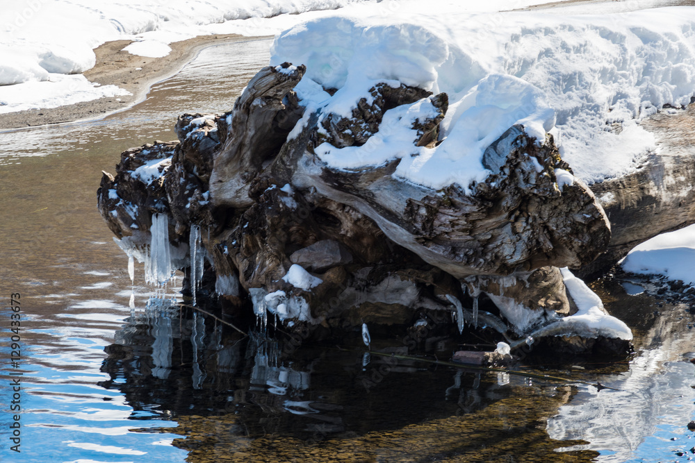 Fototapeta premium A serene image of a frozen log partially submerged in water, with ice formations creating a peaceful composition that reflects the calm and tranquility of winter.