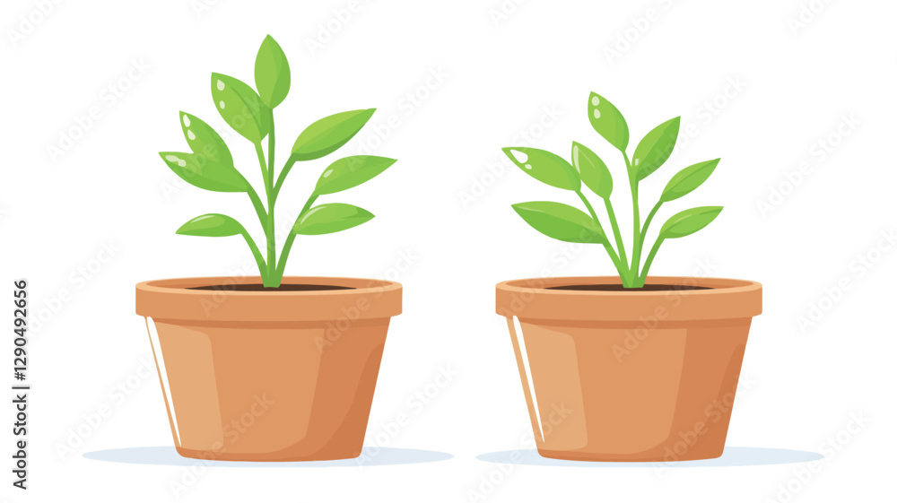 Digital illustration depicting two potted plants against a white background. The plants are nearly identical in appearance, with small, ovate, green leaves on slender stems. They are potted Digital illustration depicting two potted plants against a white background. The plants are nearly identical in appearance, with small, ovate, green leaves on slender stems. They are potted