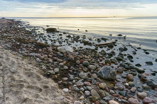 Fototapeta Naklejka Na Ścianę i Meble -  Pebble beach shore of the Baltic Sea before sunset  