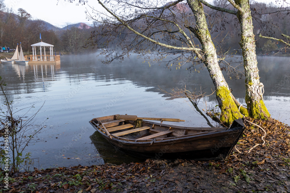 Obraz premium Boat is sitting in the water next to a tree