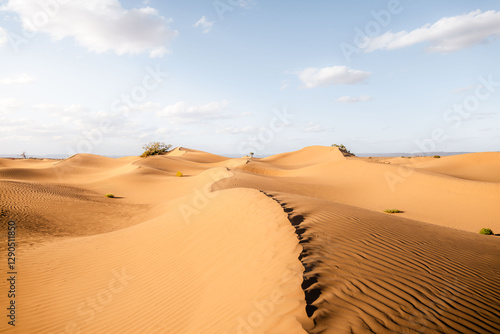 Fototapeta Naklejka Na Ścianę i Meble -  Sand dunes in the desert. M'Hamid sand dunes in Sahara Morocco