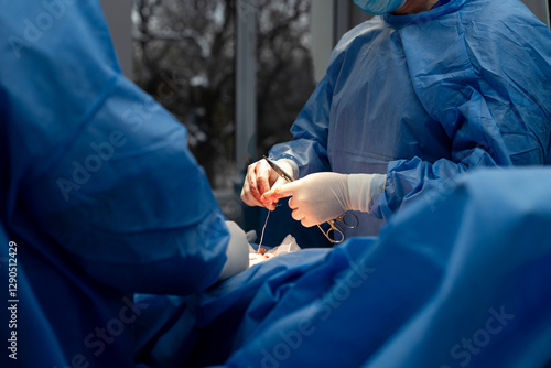 Open abdominal surgery, hernia surgery, patient on the table.s. The setting is a controlled, sterile environment typical of a hospital operating room.