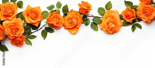 Fototapeta Naklejka Na Ścianę i Meble -  Elegant orange rose border with green leaves on white background, featuring vibrant blooms positioned along the top edge for a fresh, romantic look.