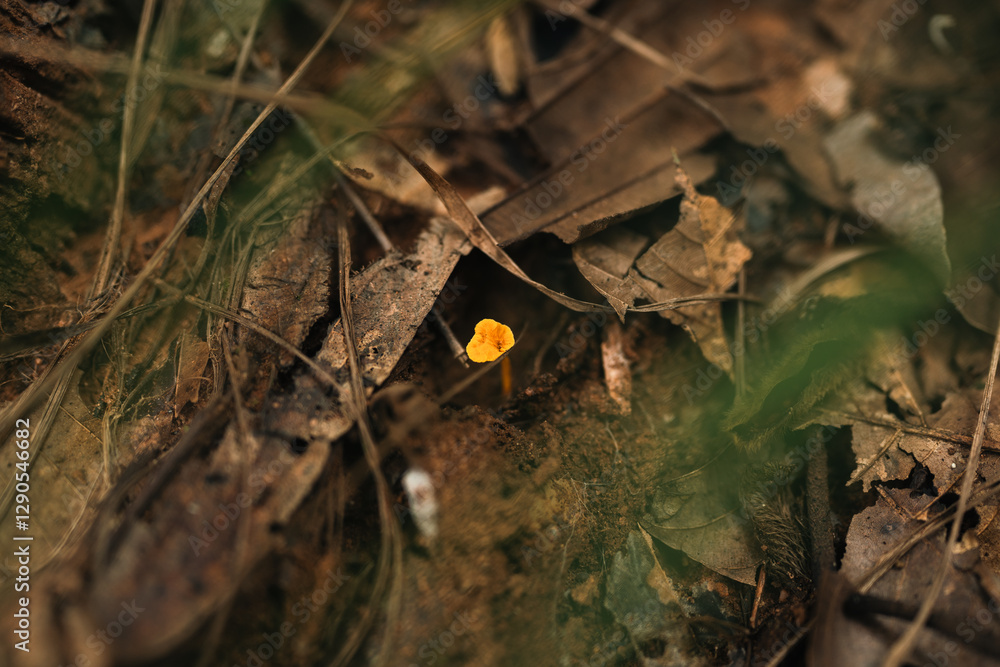 Fototapeta premium Green Leave Foliage Forest, Abstract Texture of Nature Flora, Capturing Vibrant Color of Spring and Summer, Bright Fresh Background, Inspiration Design Wallpaper