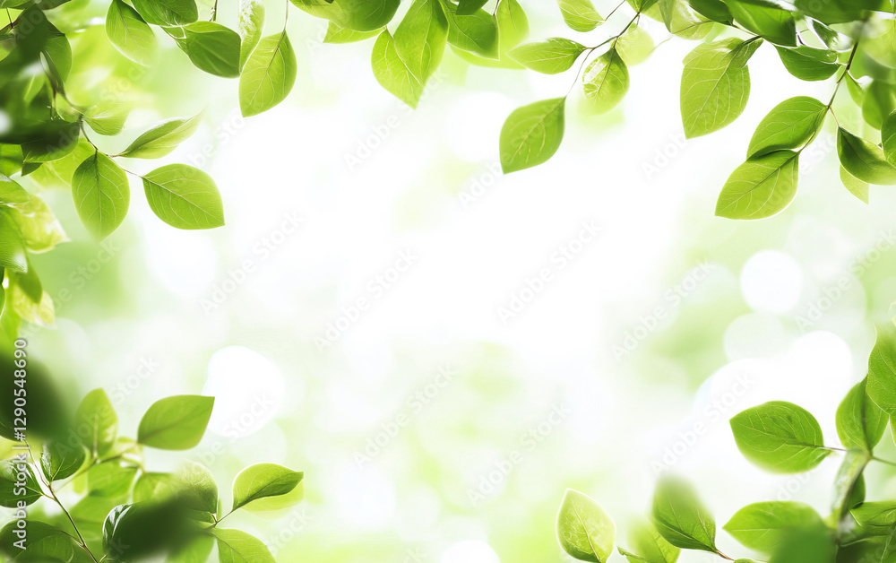 Soft green leaves with a blurred white background create a fresh, natural frame. Perfect for eco-friendly designs, wellness themes and organic branding. Soft green leaves with a blurred white background create a fresh, natural frame. Perfect for eco-friendly designs, wellness themes and organic branding.