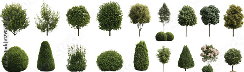 A detailed set of vector illustrations depicting hyper-realistic bushes and shrubs 
