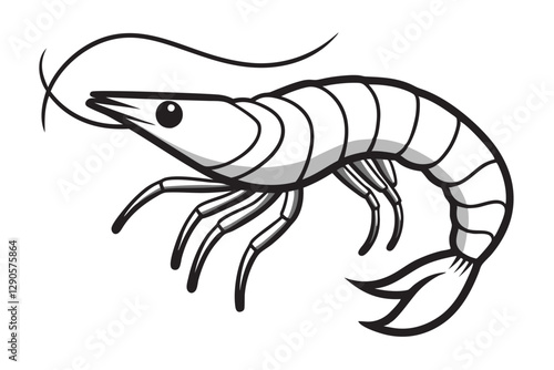 shrimp line art vector , shrimp icon vector, Sea lobster 